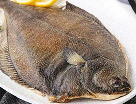 鰈魚(yú)