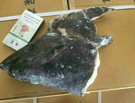 格棱蘭魚(yú)頭